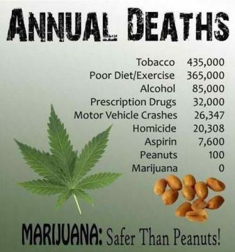 annual deaths